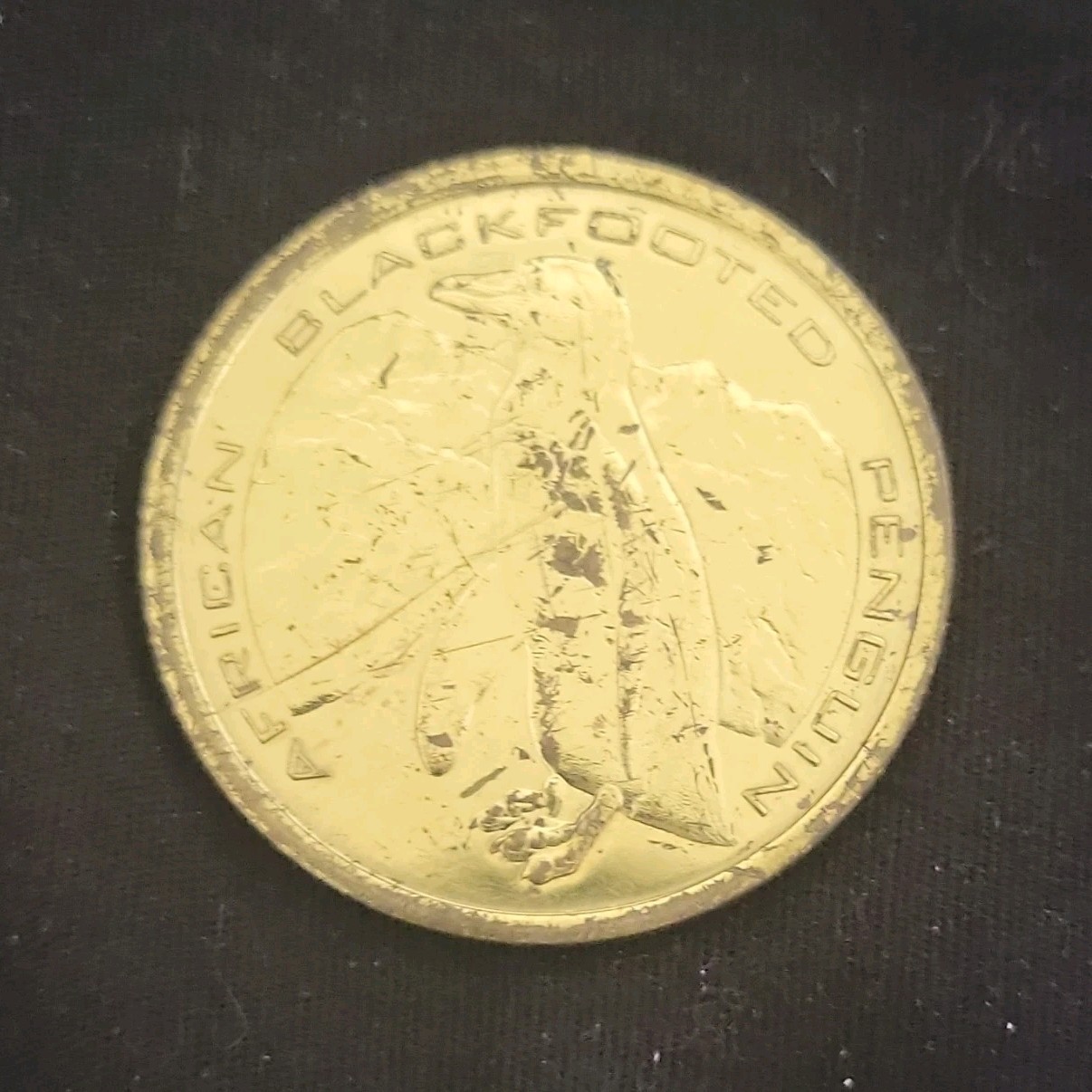 Ripley's Aquarium African Blackfooted Penguin Brass Souvenir Token Gatlinburg TN