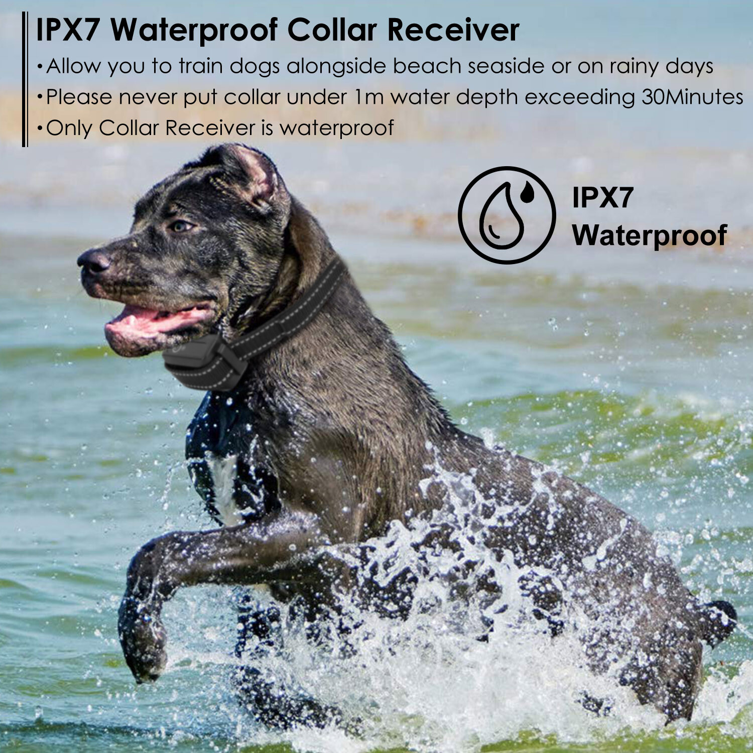 1640FT Dog Training Collar Rechargeable Remote Shock PET Waterproof Trainer