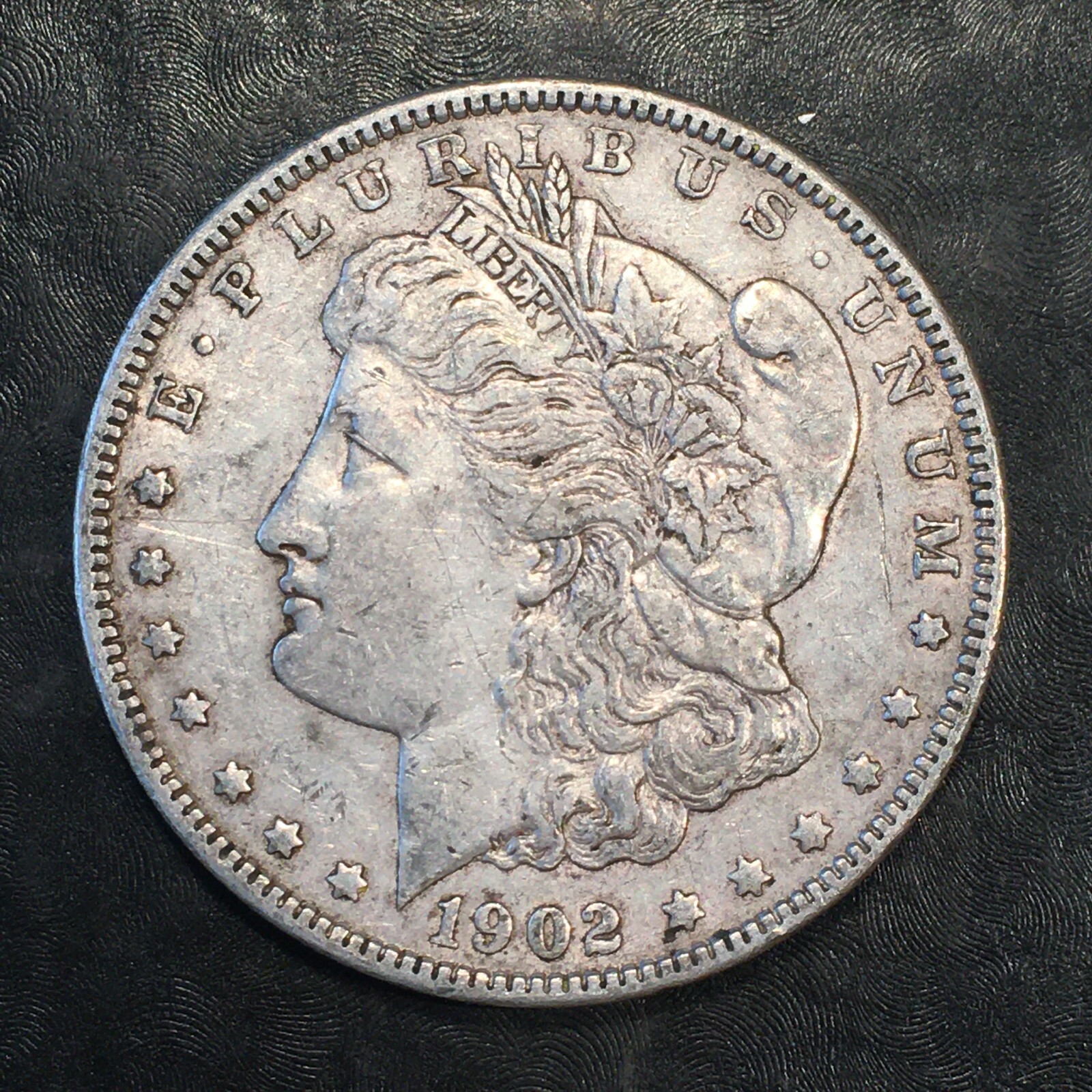 1902 Morgan Silver Dollar - High Quality Scans #i577