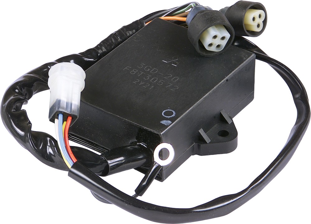 RICKS CDI Box - Caps & Wire