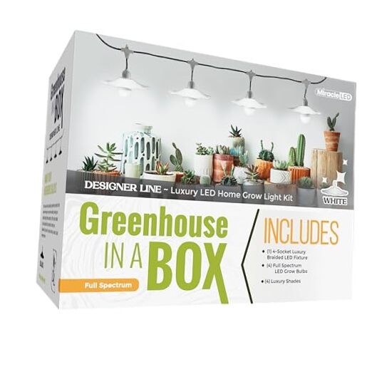 Grow with Elegance 4-Socket & White Shade (6.5KK Full Spectrum Edition)