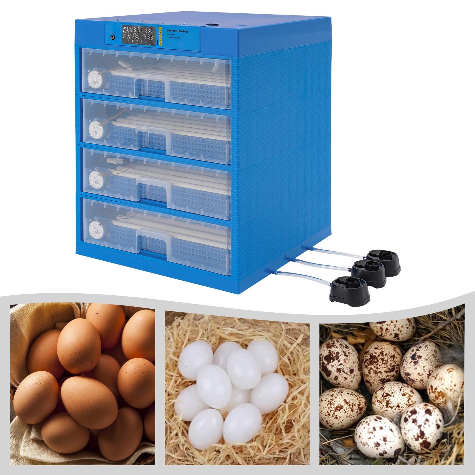 Egg Incubator, Digital Poultry Hatcher Machine, General Purpose Incubator