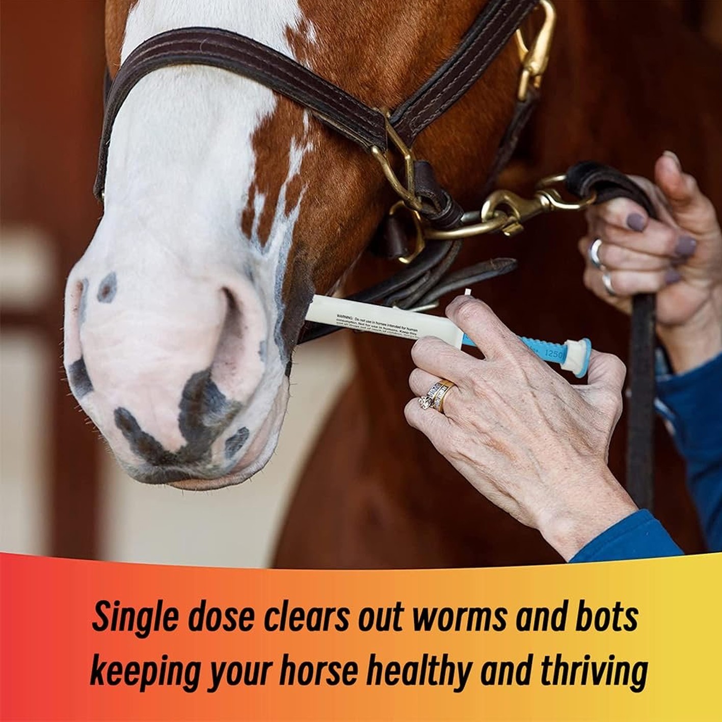 30 Pack Horse Dewormer Paste Apple Flavor Exp 01/2028 US Fast Free