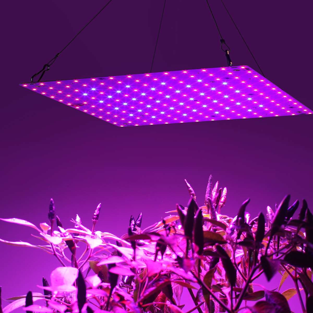 81，169LED Plant Grow Light Full Spectrum Plant UV Veg Lamp For Indoor Hydroponic