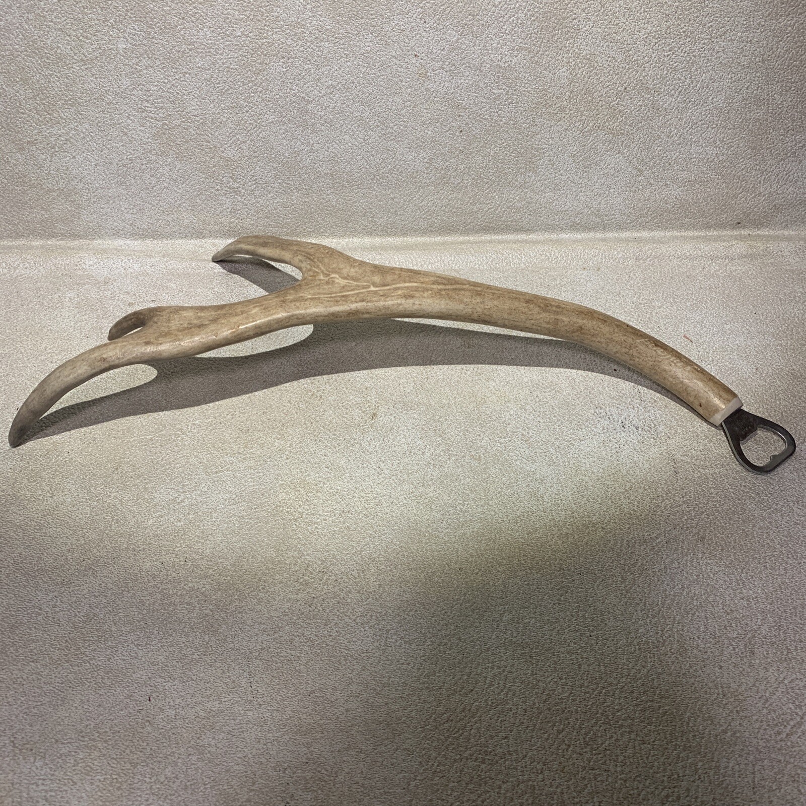3 Point White Tail Antler With Bottle Opener