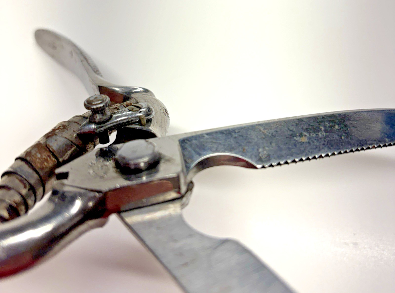 VTG Poultry Shears Stainless Maker Recosa Solingen 9.5"L Sharp-Well Used-Locking