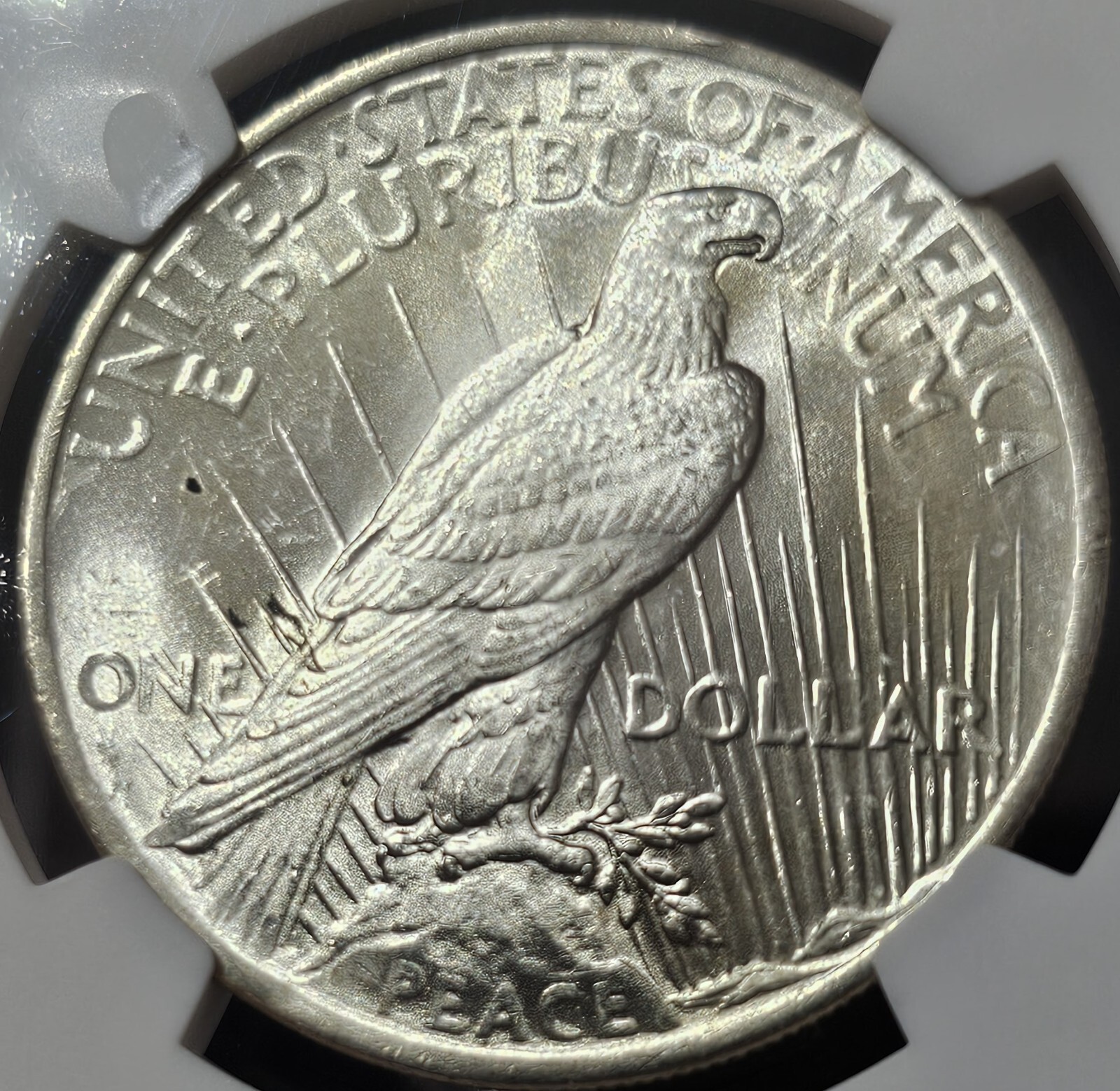 1924 Peace Dollar MS-66 NGC VIDEO
