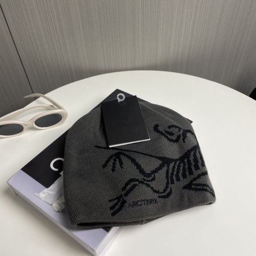 NWT Arc'teryx Bird Head Toque Beanie Hat Gray Winter Cap