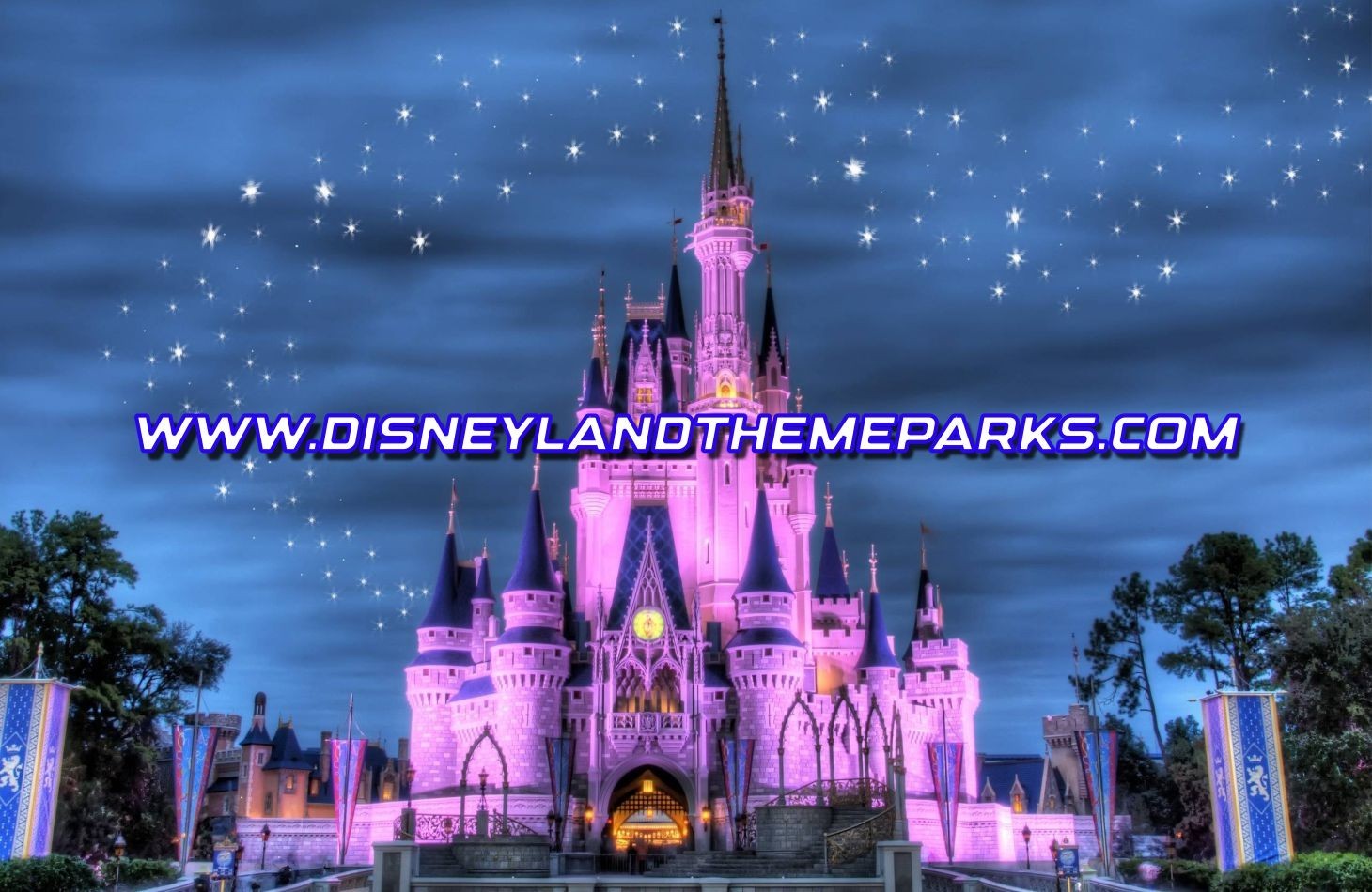 WWW.DISNEYLANDTHEMEPARKS.COM  Domain name , website , Travel agency,  Resort