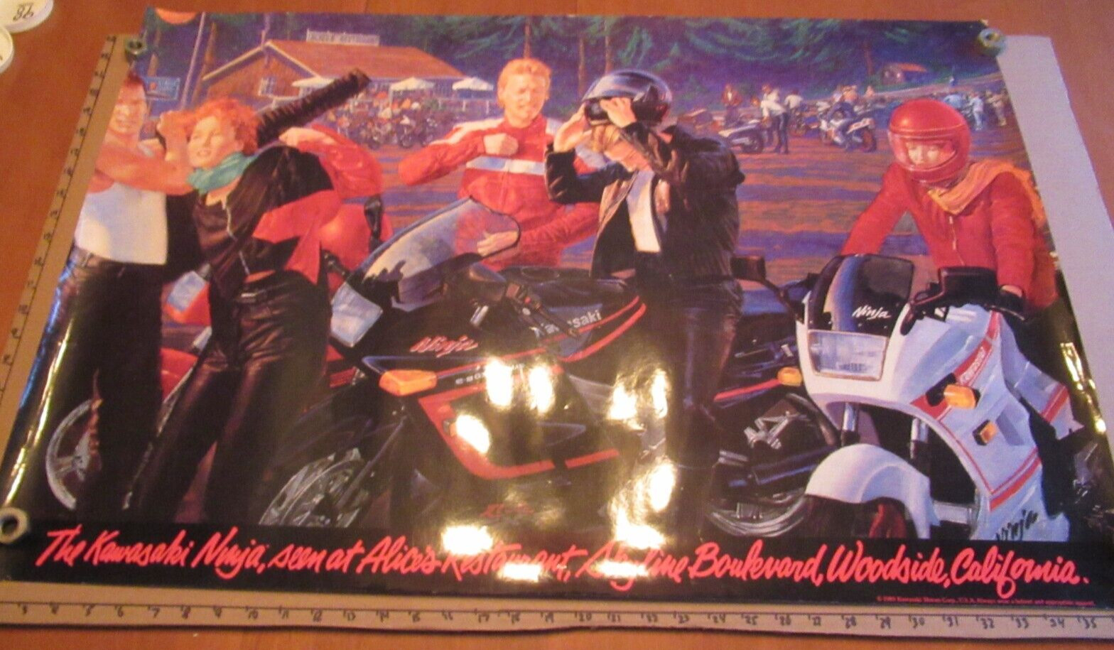 Kawasaki Ninja Alice's Restaurant Dealer Only Poster 69