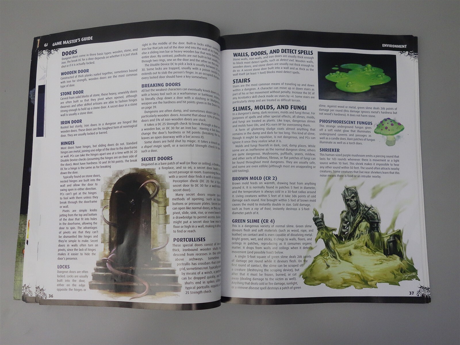 Pathfinder: Game Master's Guide (Paizo)