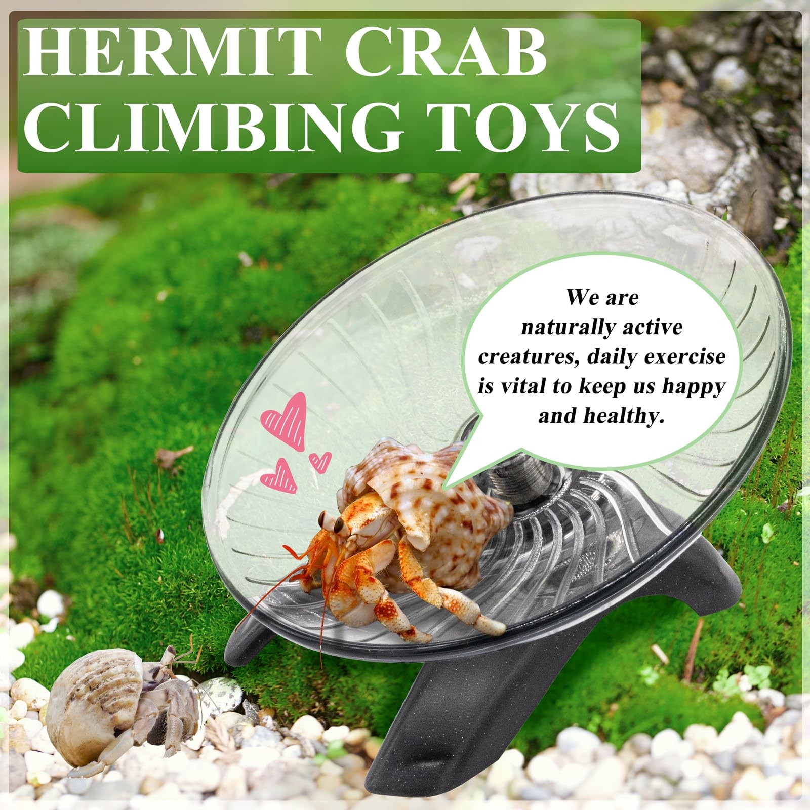 Hermit Crab Exercise Wheel - Silent Running for Transparent Gray