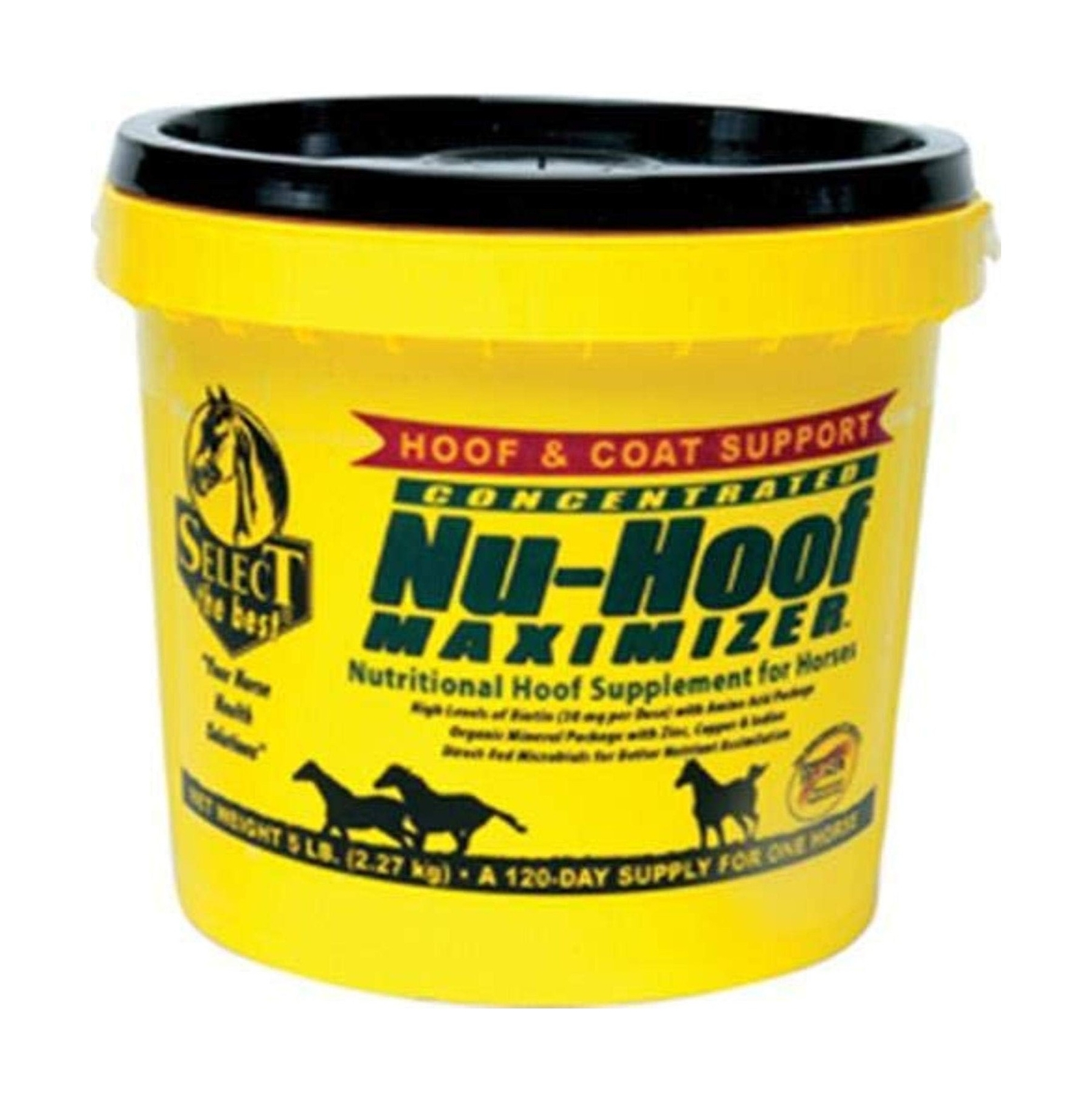 RICHDEL 784299390508 Nu-Hoof Maximizer Hoof & Coat Support for Horses, 5 lb