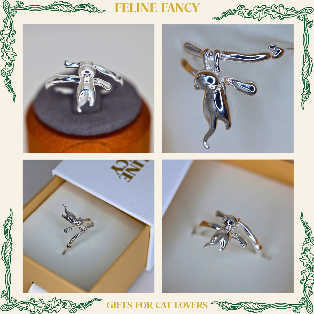 Hold On Cat Ring Gift for Cat Lover Gift for her women gifts perfect gift uk