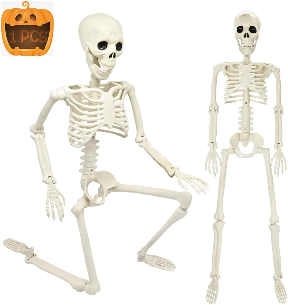 3FT Skeleton, 36" Full Body Skeleton with Movable Posable Joints, Realistic Plas