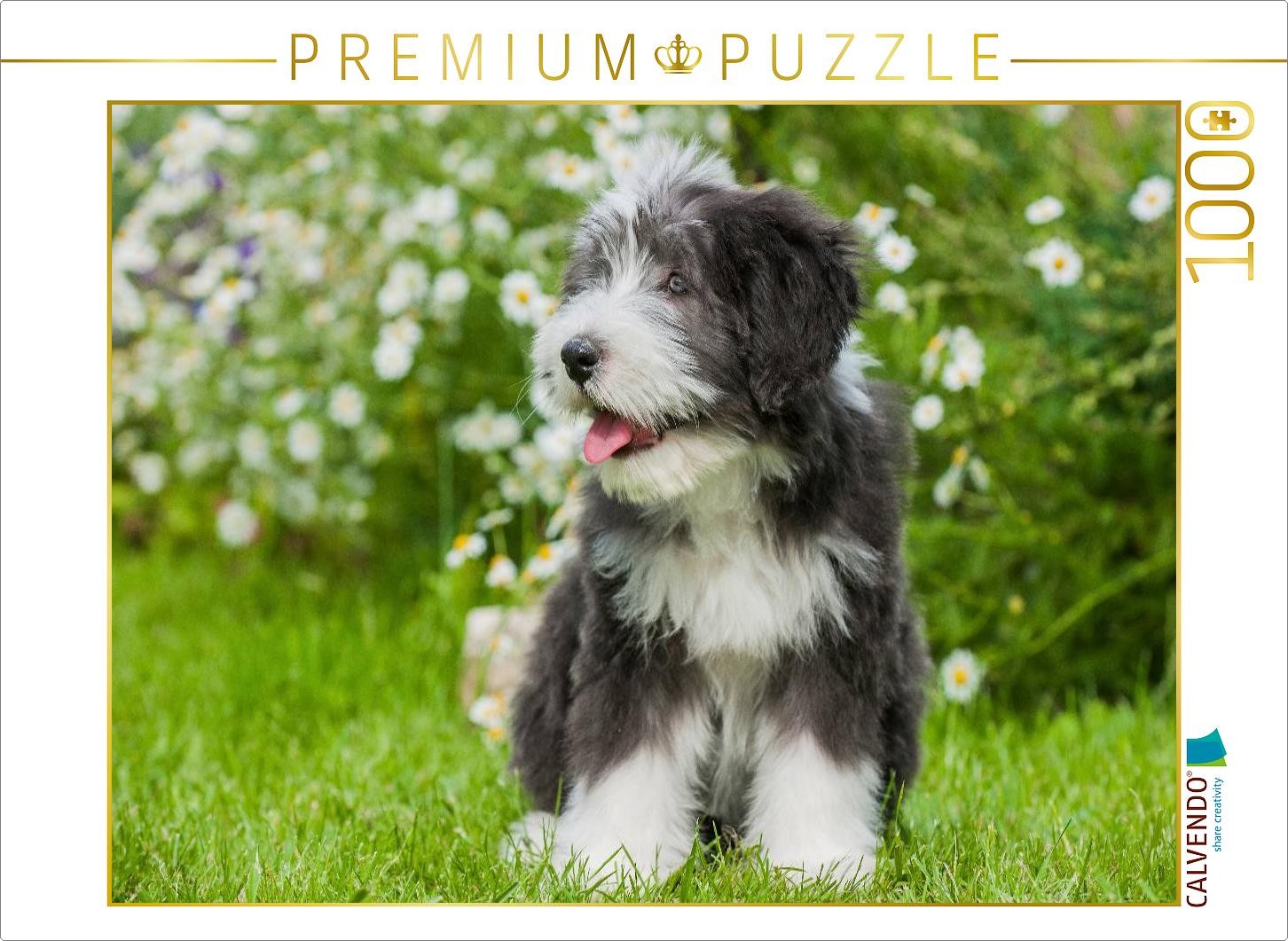 CALVENDO Puzzle Bearded Collie Welpe | 1000 Teile Lege-Größe 64x48cm Foto-Puzzle