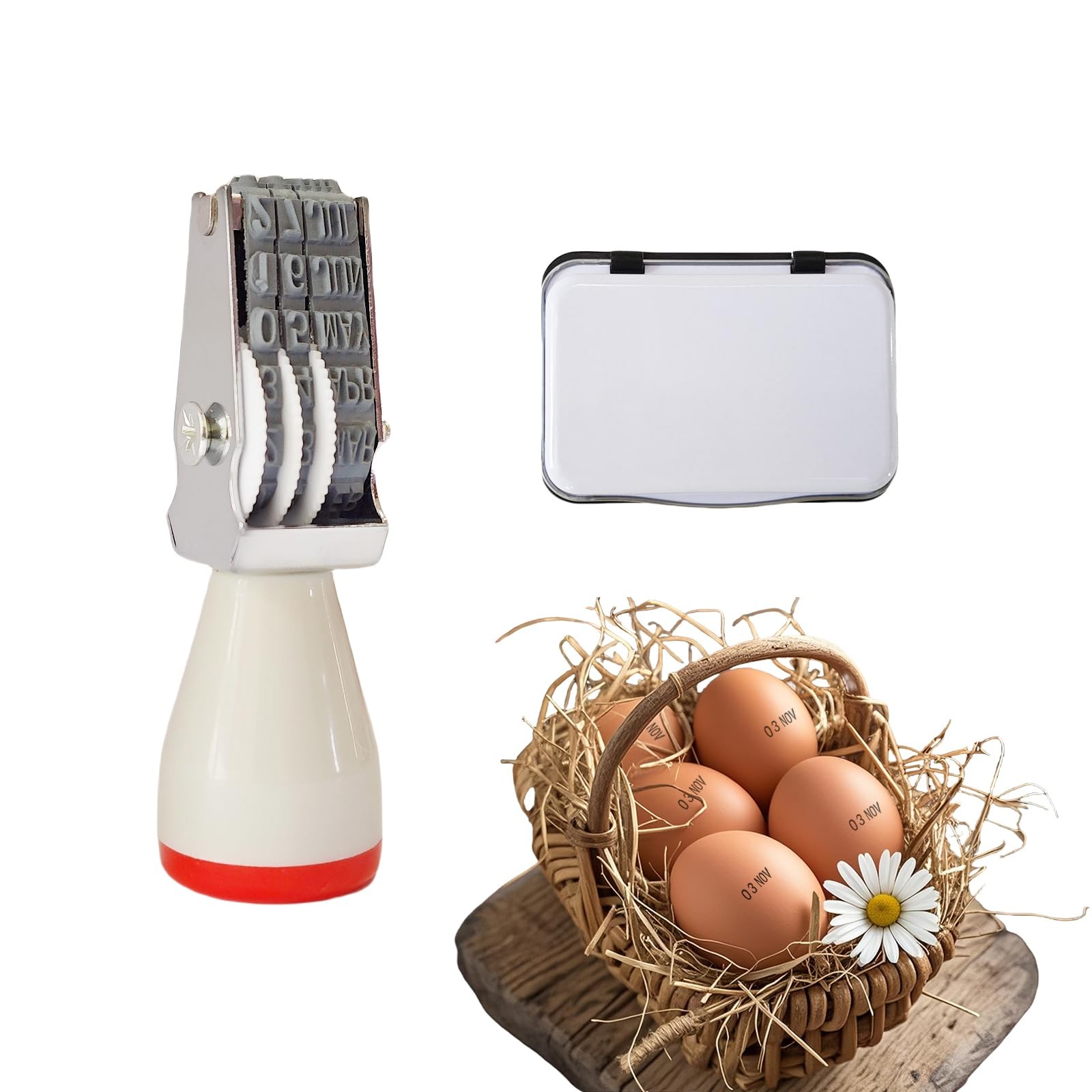 Egg Date Stamp Kit with Ink Pad, Month and Day Stamper for Farm Fresh Eggs Ch...