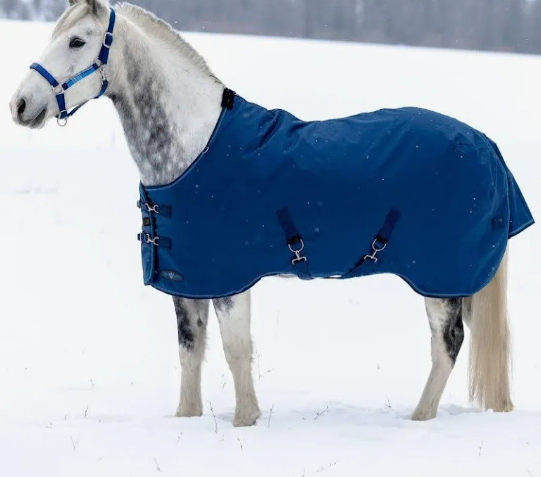 Kensington Navy Medium Weight Turnout Blanket 180Gram Size 75