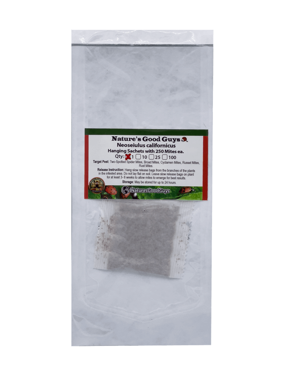 Slow Release Sachets - Neoseiulus californicus - Predatory Spider Mite Control