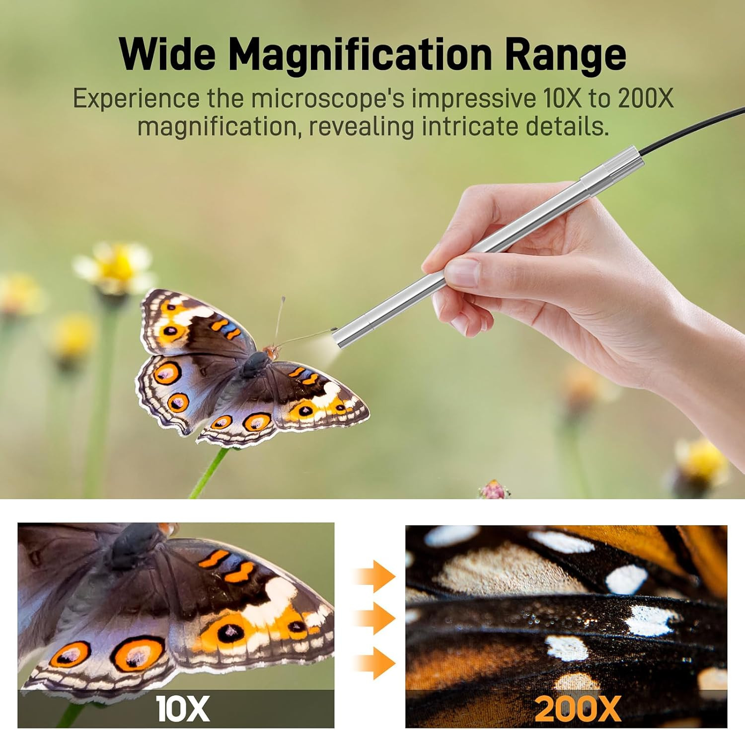 USB-C Digital Microscope, 10X to 200X Magnification Portable Camera with 8 LED L