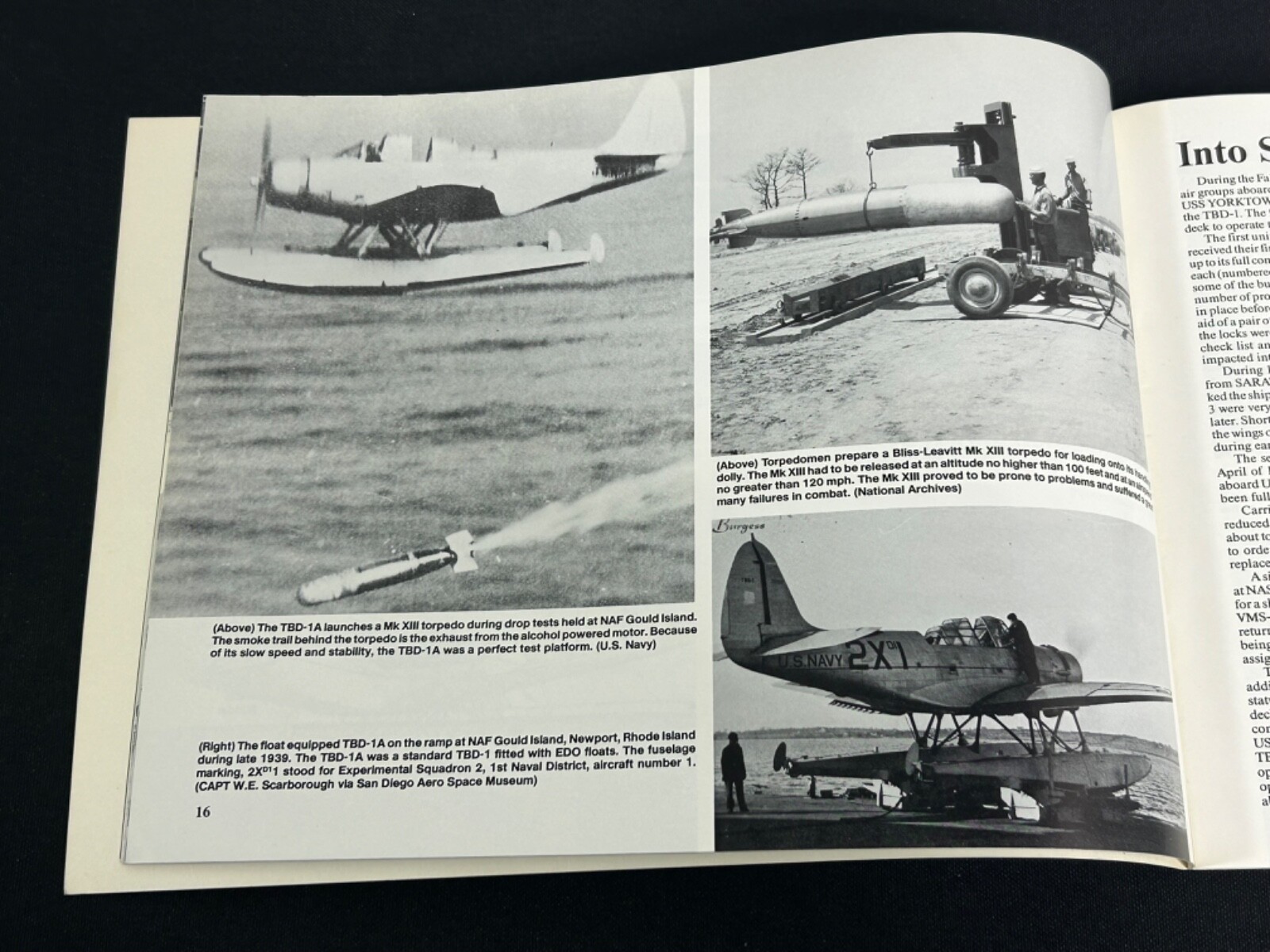 TBD Devastator In Action Book