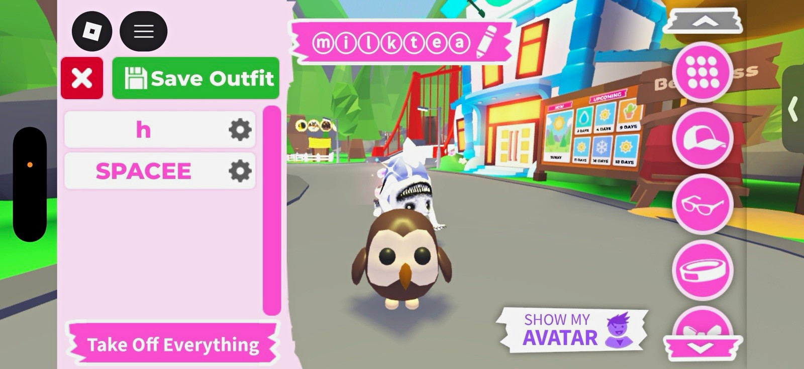 Adopt Me! Pet Owl Newborn In-Game Avatar Item/Asset (Digital) ID h