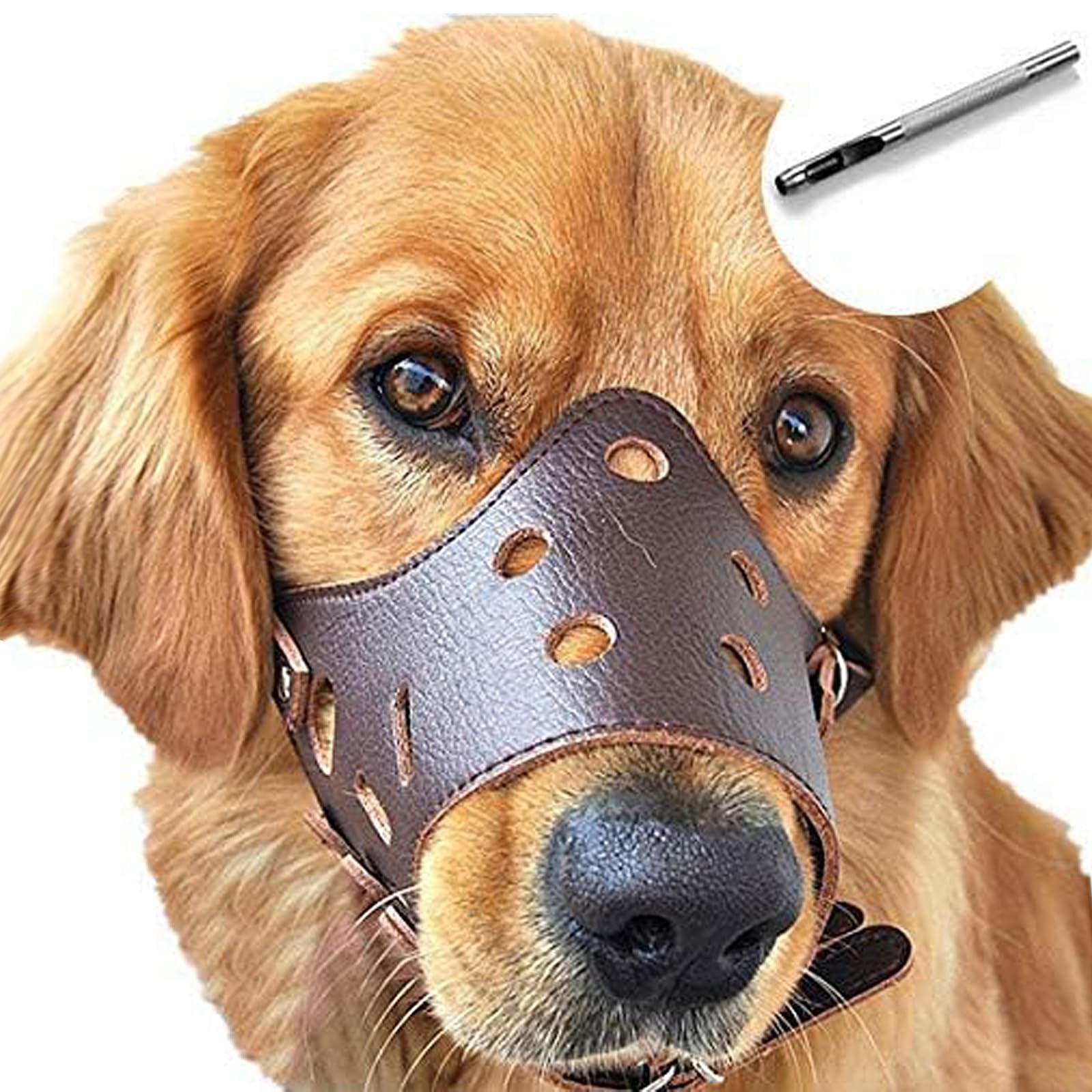 Dog Muzzle Leather, Soft Secure Anti-Barking Leather Muzzle for Medium Sized ...
