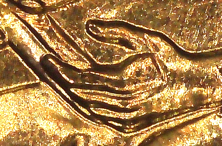 2009 P BU FY DOUBLED DIE REVERSE ERROR WDDR-033