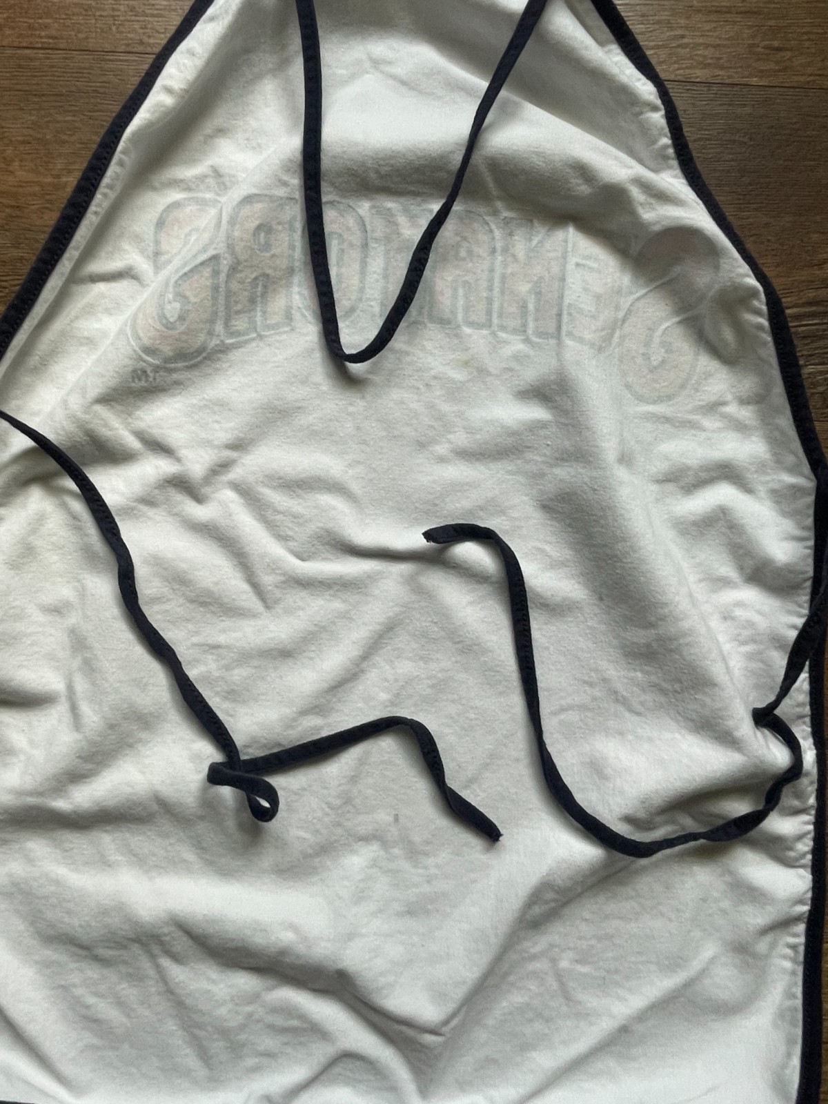 2 Vintage Harrisburg Senators Kitchen Grilling Aprons MILB AA Baseball Giveaway