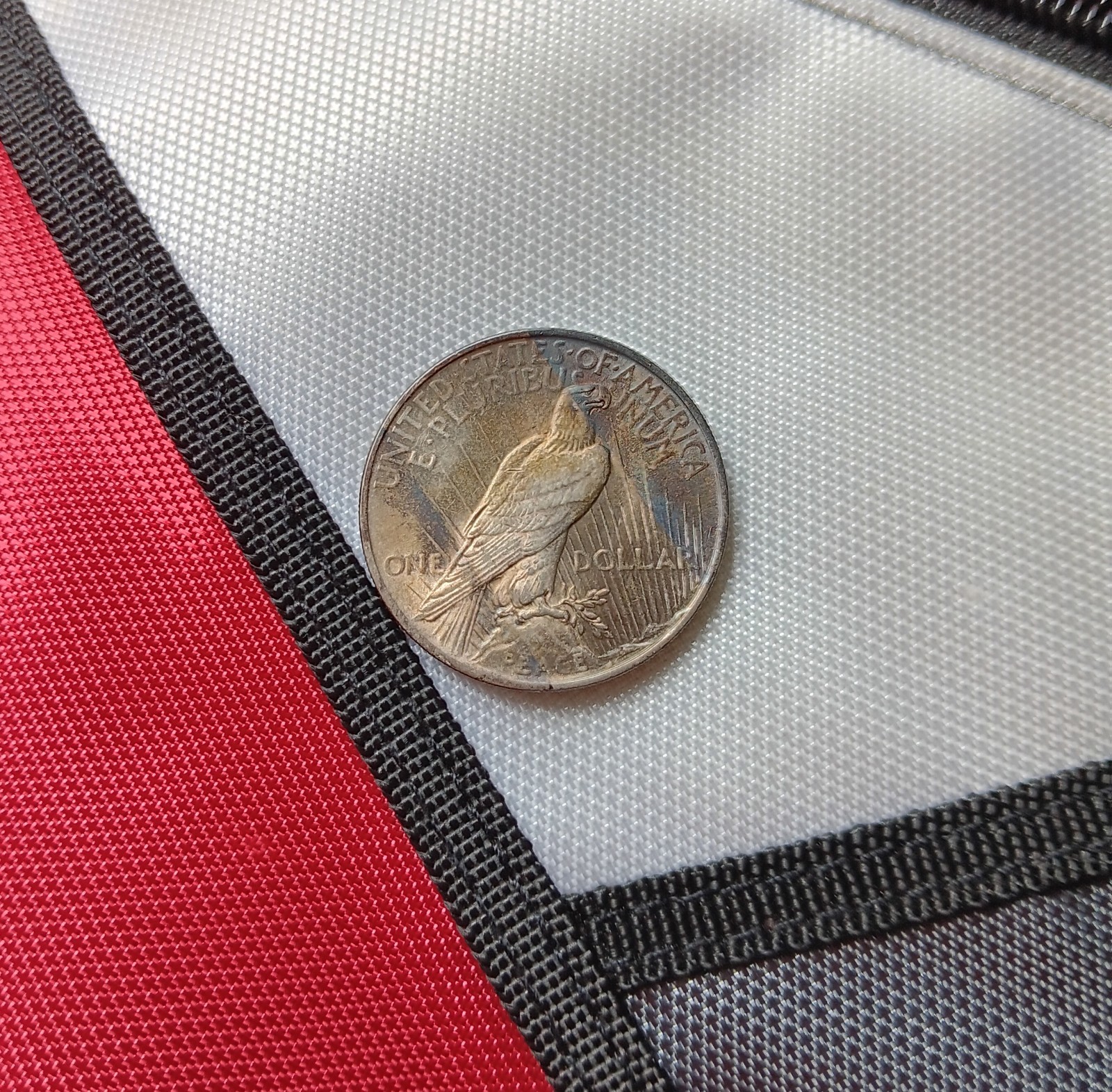 1924 peace silver dollar (Natural Toning)