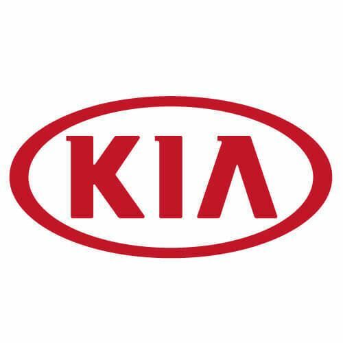 Genuine Kia 2019-2020 Forte Front Driver Door Wiring Assembly 91601-M7150