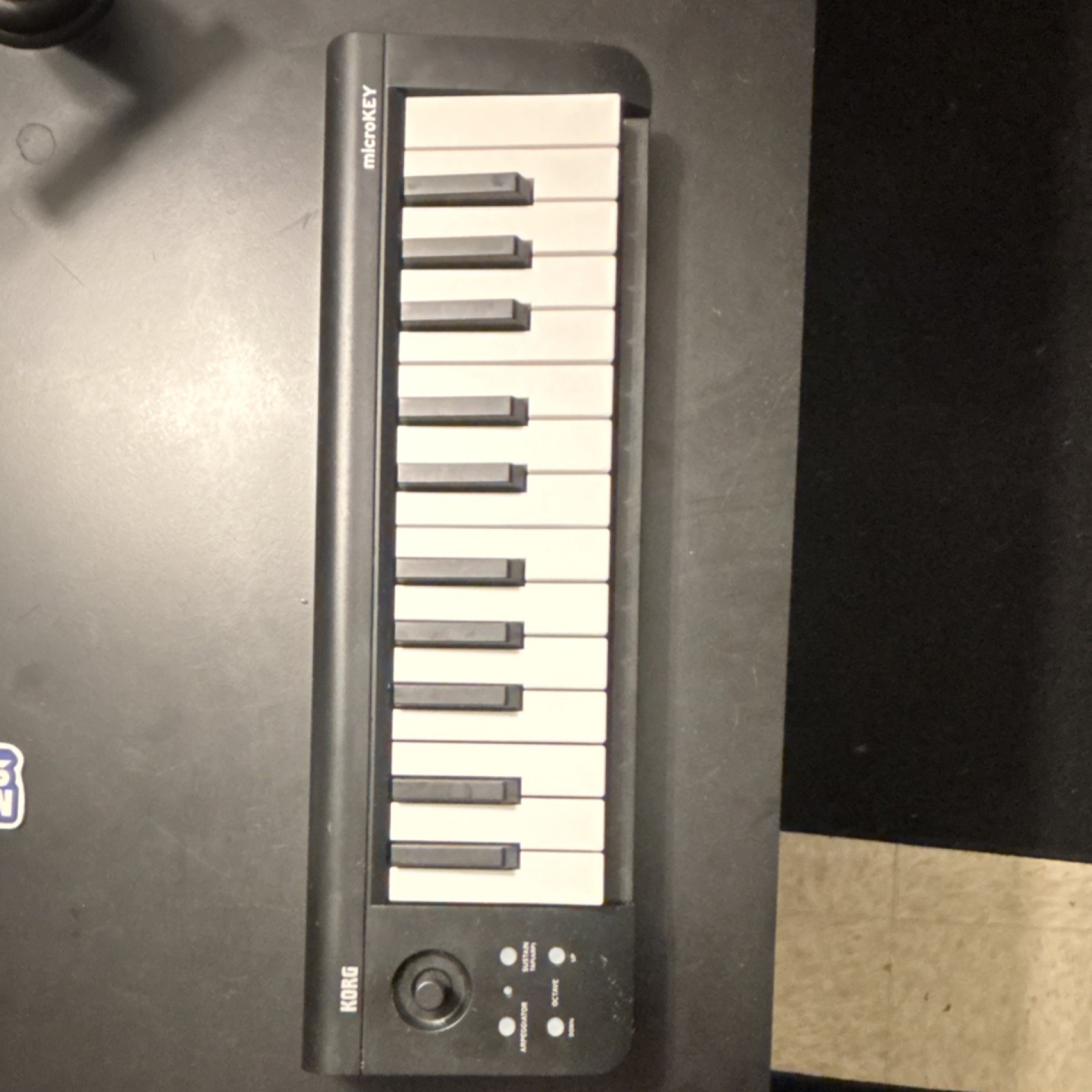 Korg microKEY-25 25-Key Digital MIDI Keyboard Controller Arpeggiator Sustain