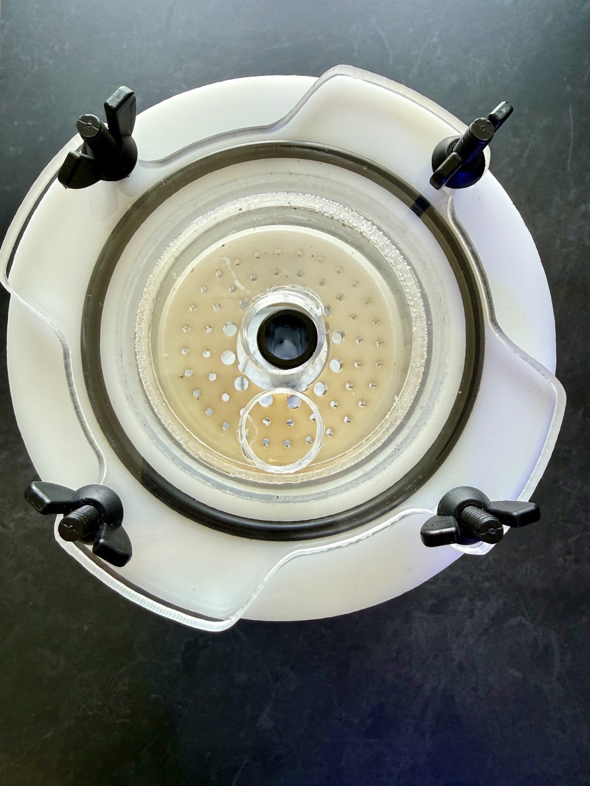 Avast Marine Mutiny Ozone Reactor V2.1 Complete System Poseidon 200 Ozotech