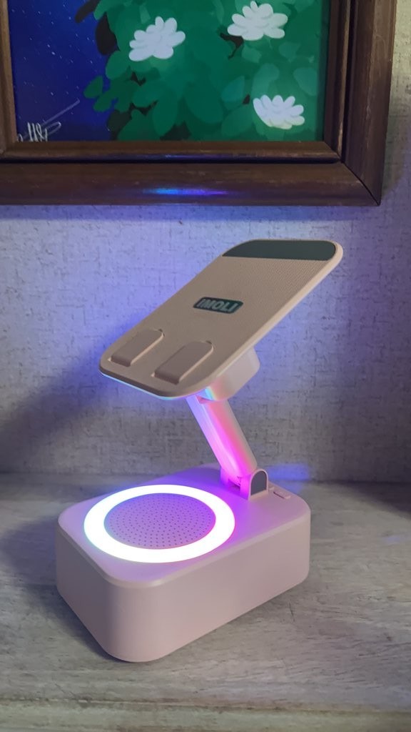 IMOLI Adjustable LED Speaker Stand