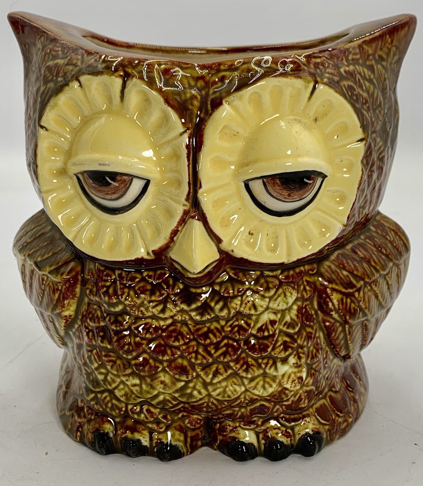 Claylicious Painted Ceramic Owl Planter Pot