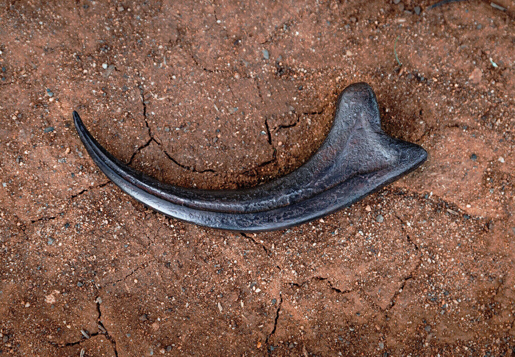 Dinosaurs Jurassic World Park Alan Grant Fossil Velociraptor Claw REPLICA 1:1