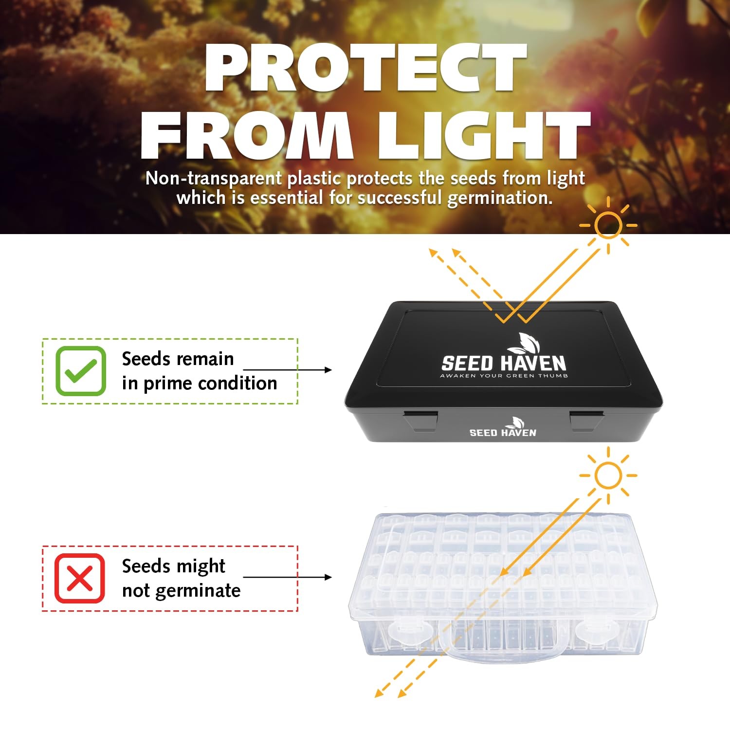 Seed Organizer Storage Box, Black Opaque Light 10.6x6.7, BLACK with LOGO