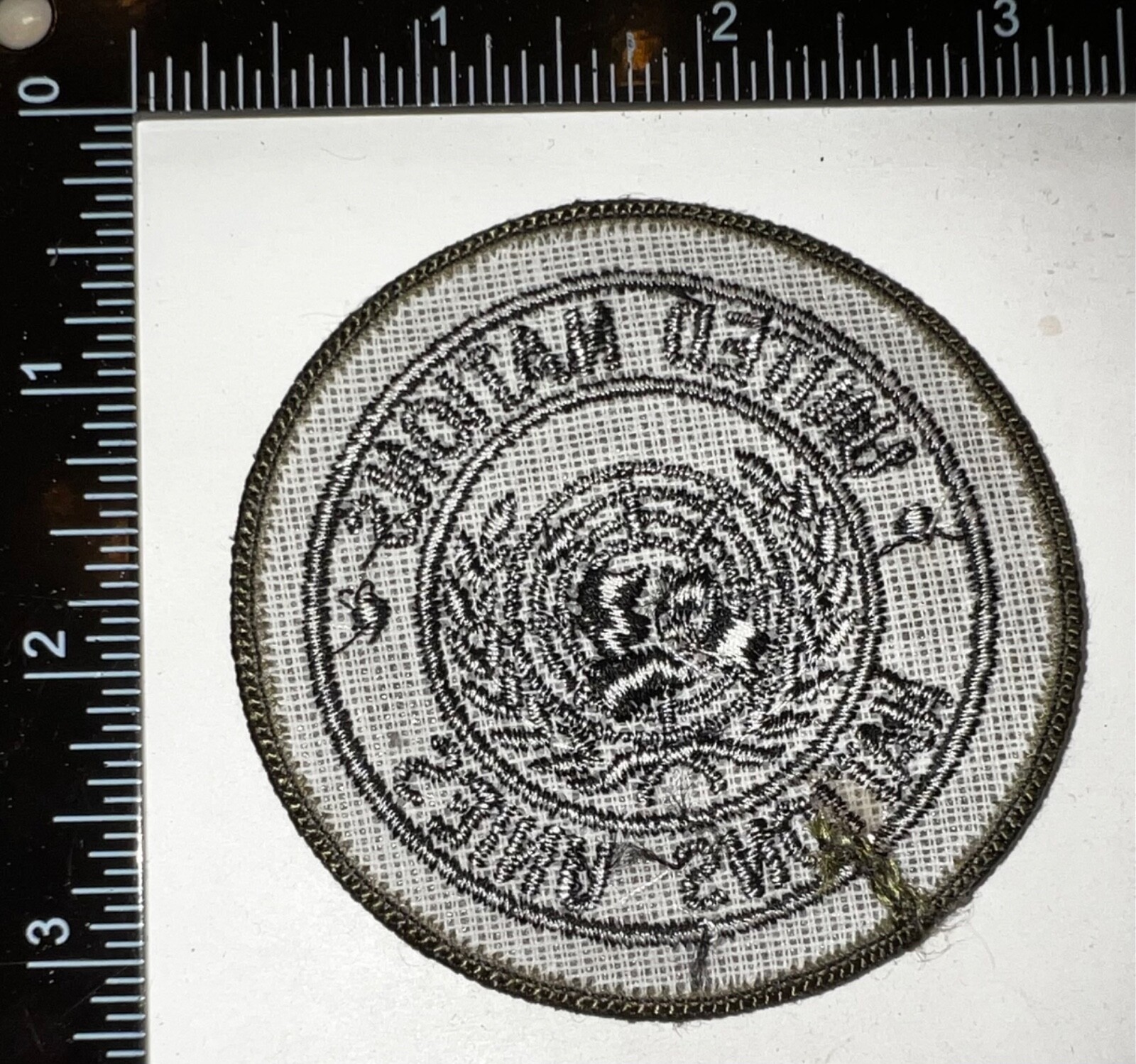US Army United Nations Nation Unies Forces SUBDUED Patch