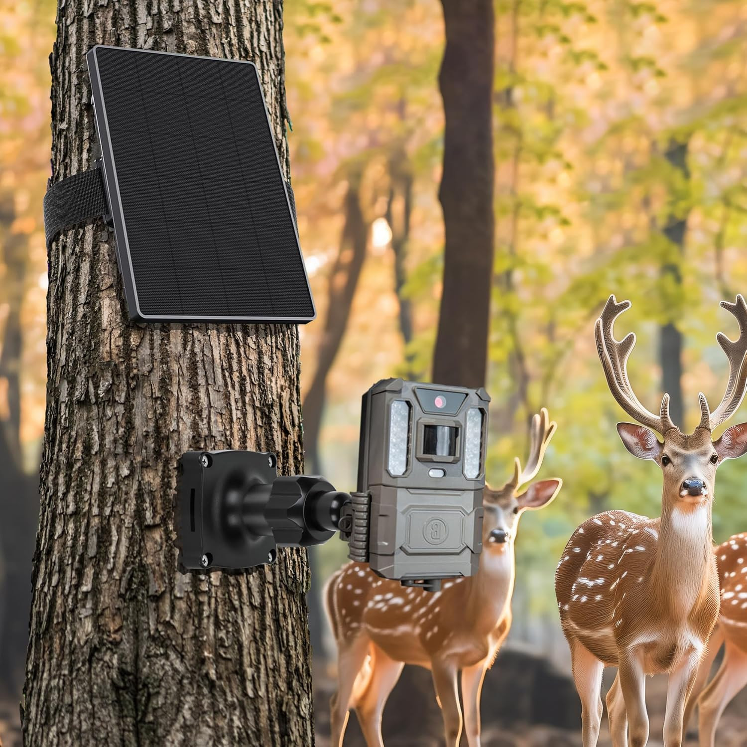 Trail Cameras Mount, Holder for Game Camera, Outdoor Camera Mounting Bracket wit