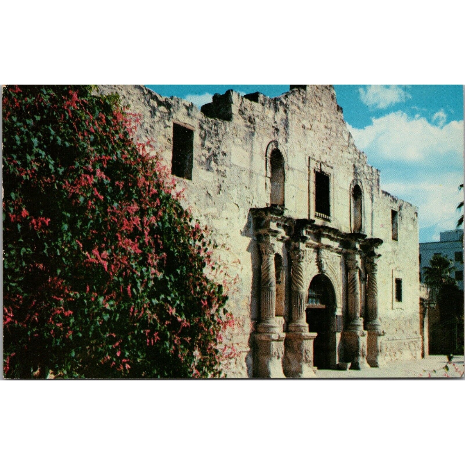 The Alamo San Antonio TX Postcard PC602