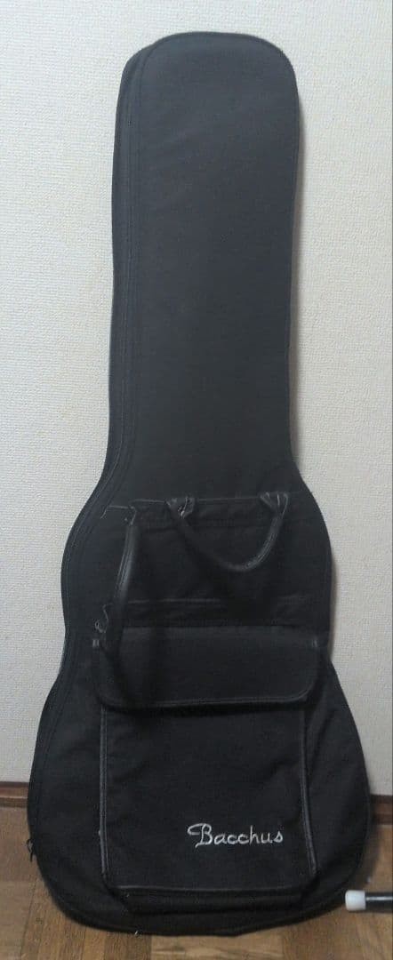 Bacchus Global Series Telecaster Easy Adjustment Cleaned