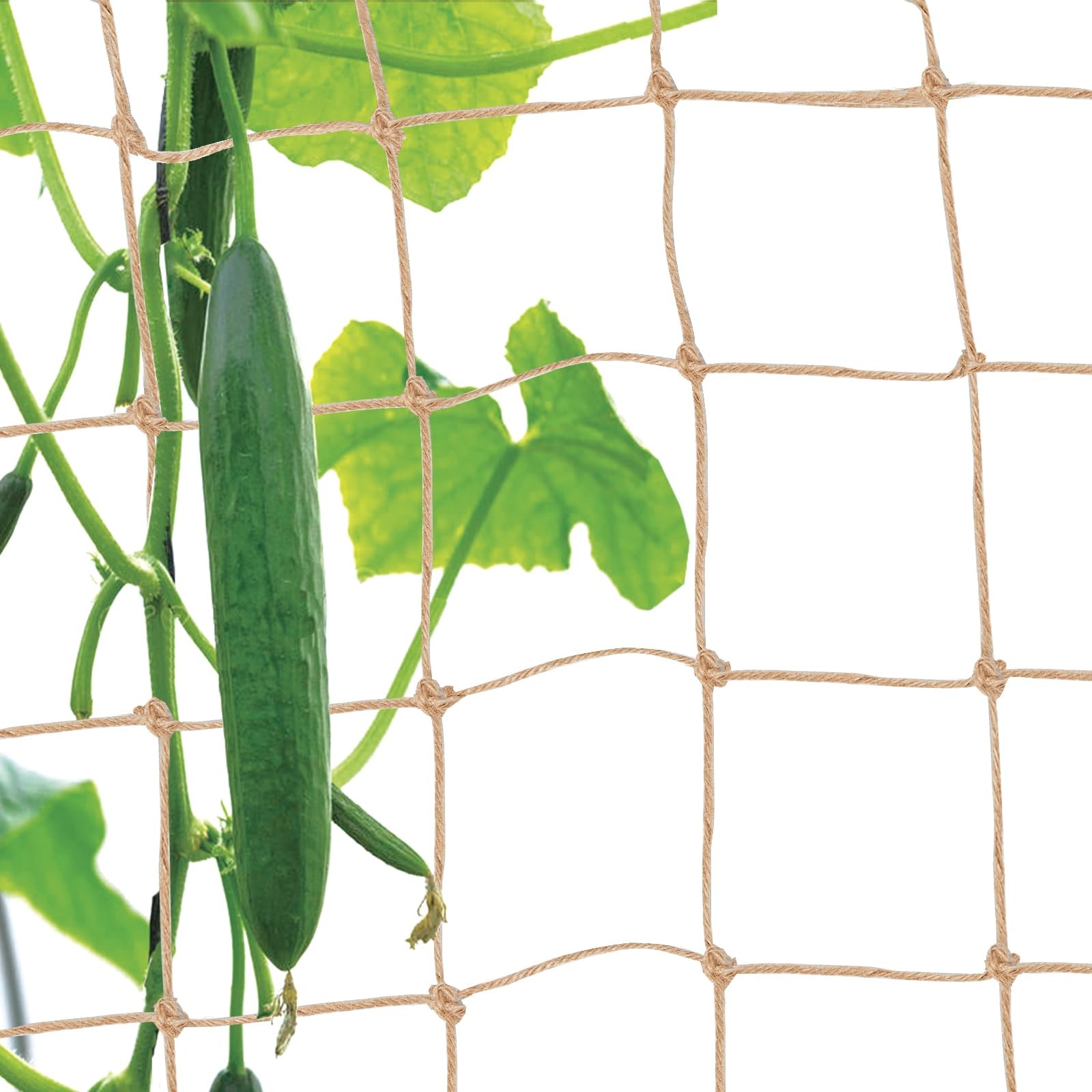 Jute Trellis Netting - for Garden, Heavy Duty 1X2M 15CM, jute