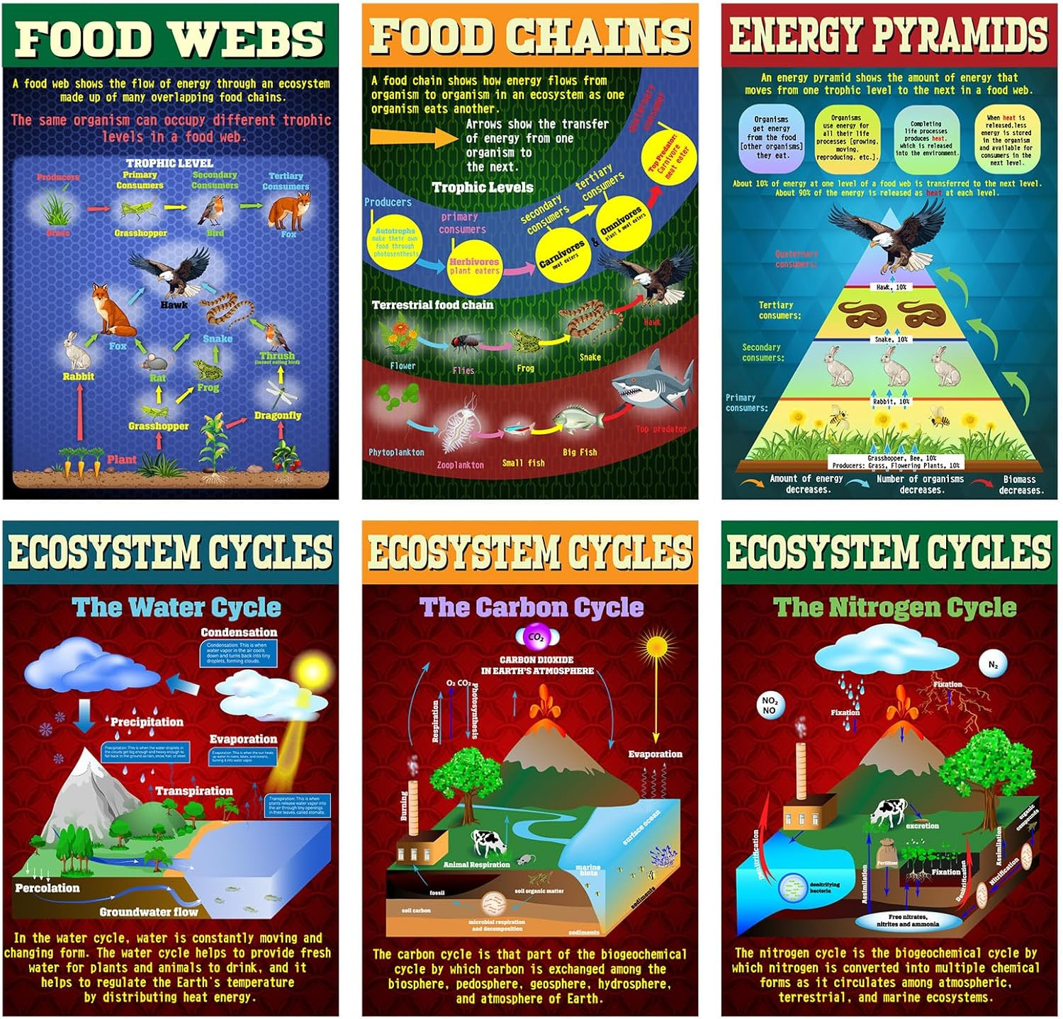 6 Pcs Science Posters Ecosystems Teaching Posters Set Ecosystems Cycle Food Web