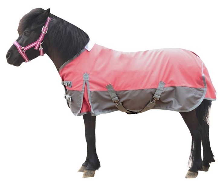 Gallopoff Mini Horse/Pony/Foal/Miniature Size 45” Pink  Lightweight Waterproof