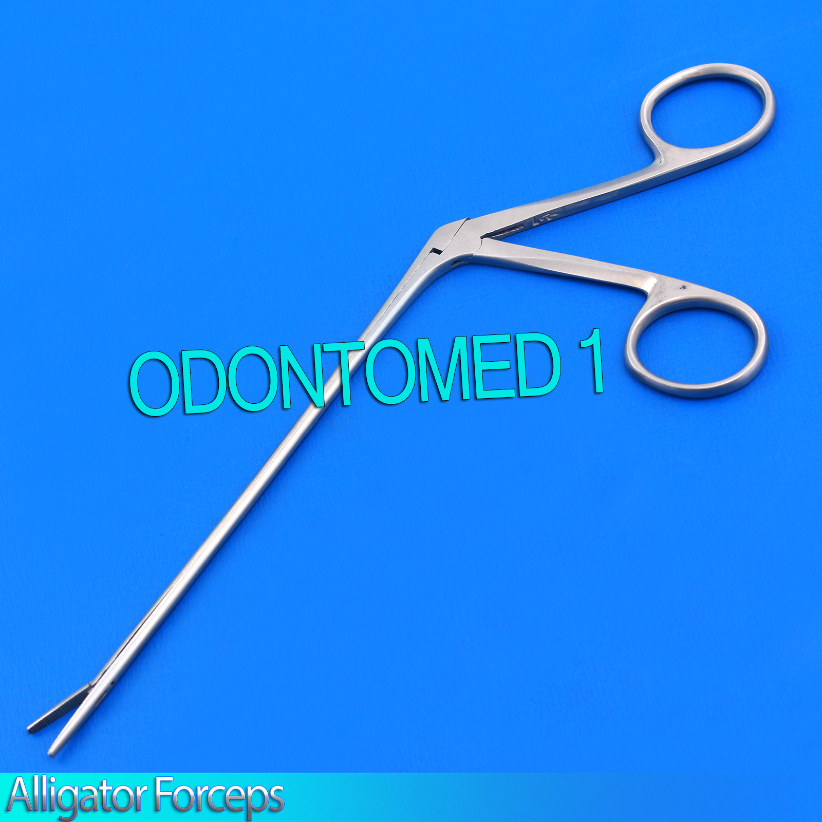 1 Ear Alligator Forceps 8" Surgical ,Dental Instruments