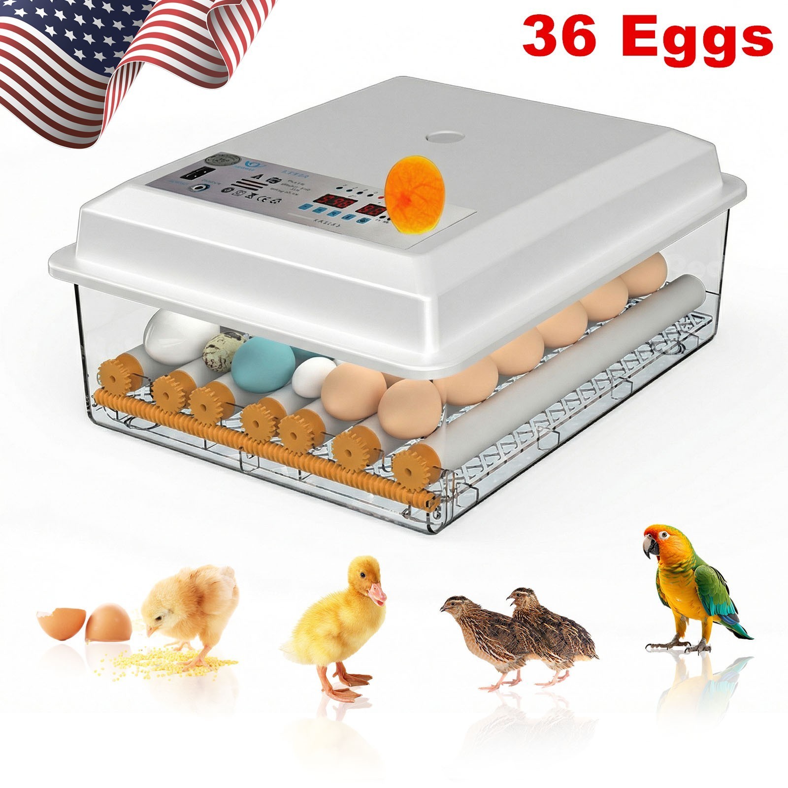 36 Eggs Incubators for Hatching Eggs Automatic Turning Egg Humidity Monitoring