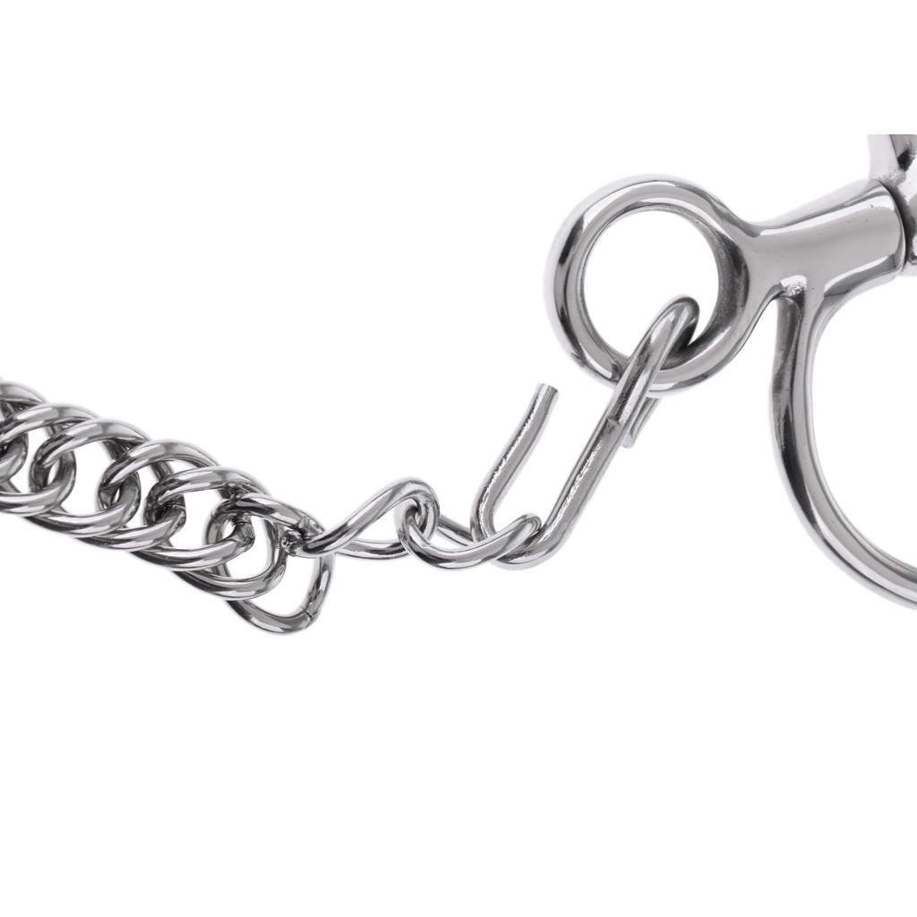 5\\\\\\\'\\\\\\\' Sturdy Polished Horse Bit With Curb Chain and Curb