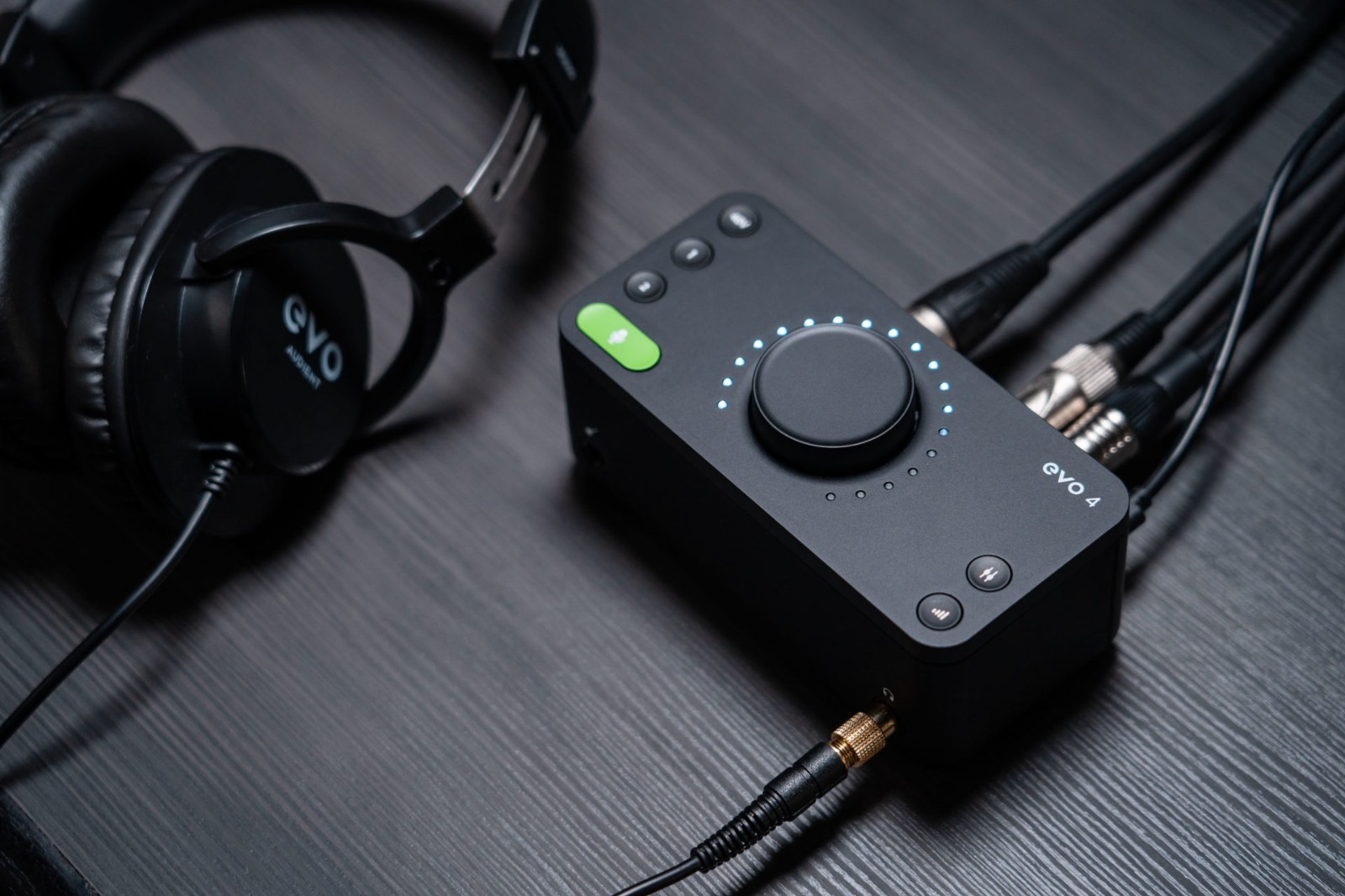 Audient EVO 4 USB Audio Interface for Live streaming, recordists, podcasters NEW