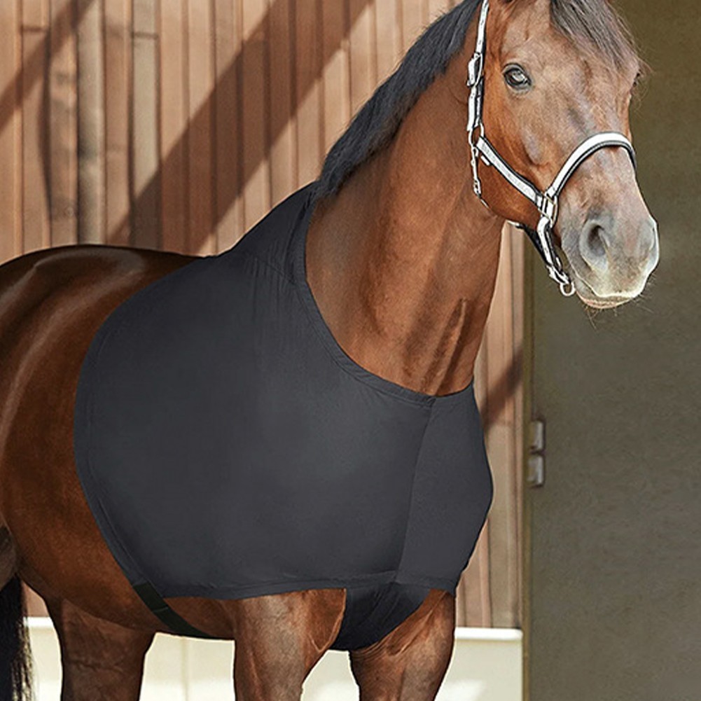 For Horse Chest Protector Vest with Shoulder Coverage - Spandex Material