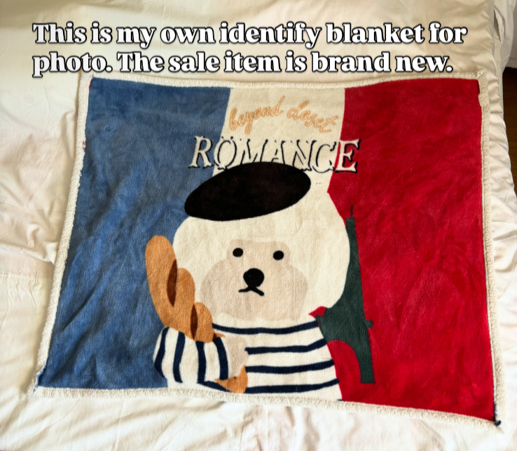 Limited Rare Missha x Beyong Closet Cute Lap Blanket 2018 Brand New